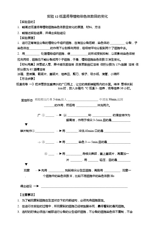 高考第一轮复习(高三生物)导学案实验12低温诱导植物染色体数目的变化.doc