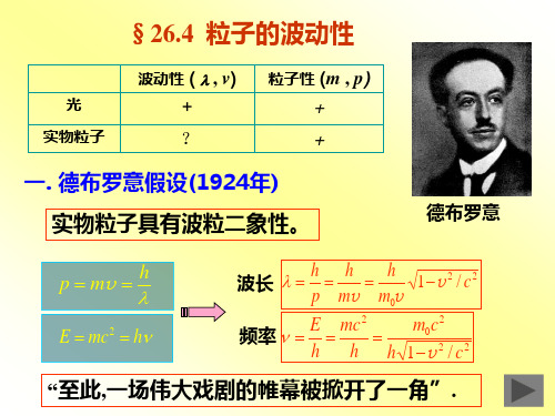 大学物理 波粒二象性(2)粒子的波动性和概率幅