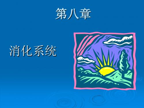 教育的生理学基础神经系统(3) (4)