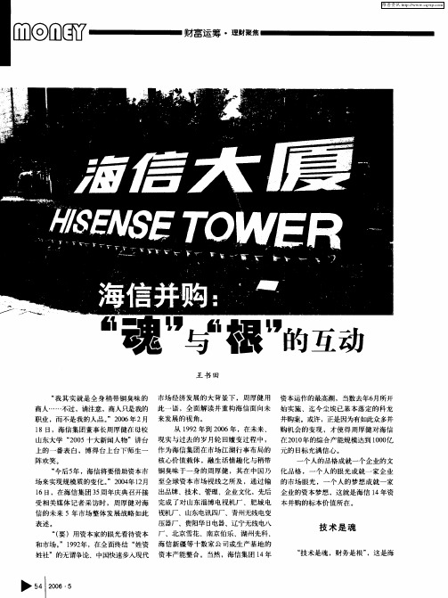 海信并购:“魂”与“根”的互助