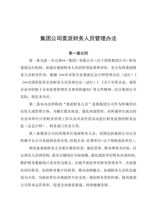 集团公司委派财务人员管理办法