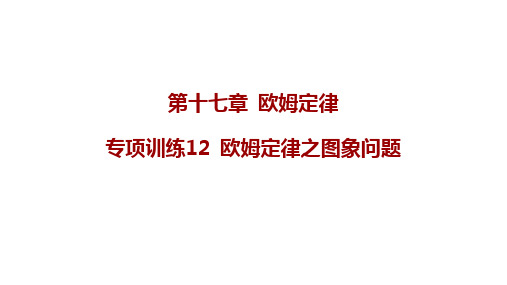 欧姆定律专项训练12+欧姆定律之图象问题课件2023-2024学年人教版初中物理九年级全一册