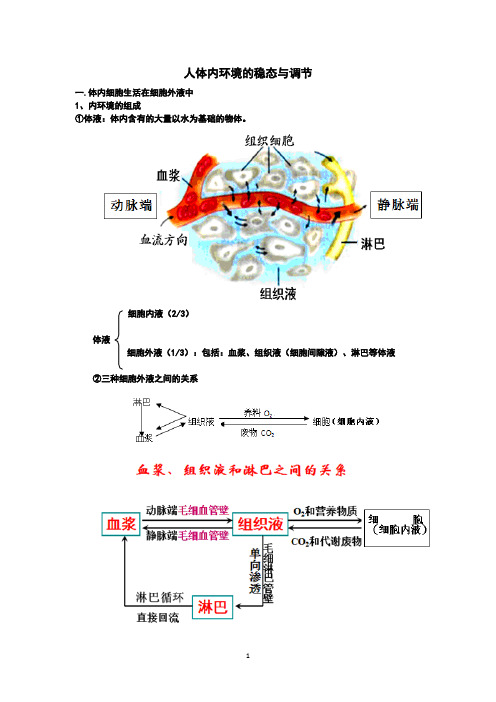 人体内环境的稳态与调节(知识点笔记)