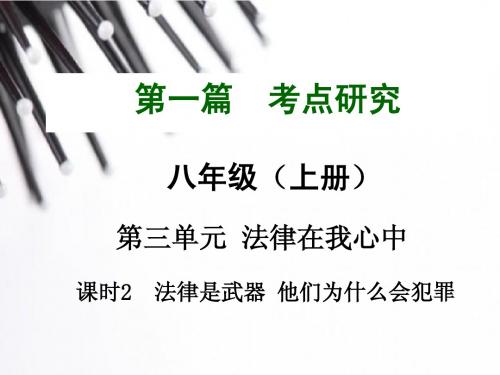 2015年中考政治复习八年级上册第三单元 法律在我心中考点热点