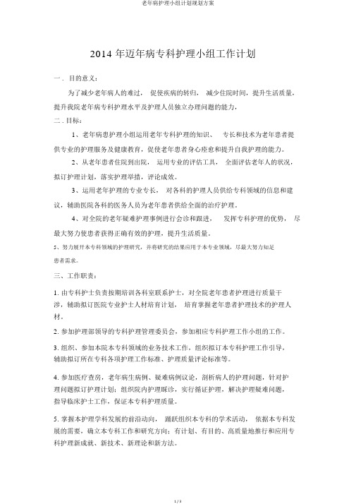 老年病护理小组计划规划方案