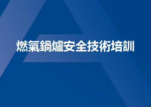 燃气锅炉安全技术培训(31页)