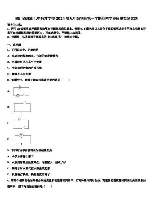 四川省成都七中育才学校2024届九年级物理第一学期期末学业质量监测试题含解析