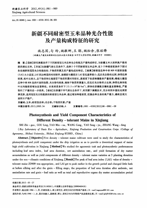 新疆不同耐密型玉米品种光合性能及产量构成特征的研究