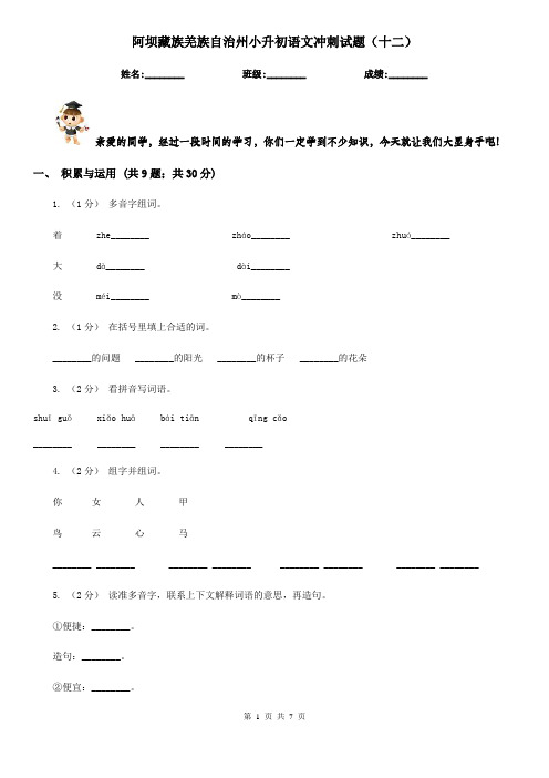 阿坝藏族羌族自治州小升初语文冲刺试题(十二)