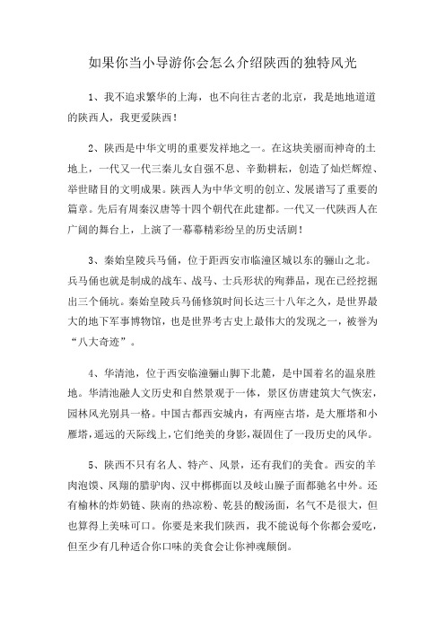 如果你当小导游你会怎么介绍陕西的独特风光15字