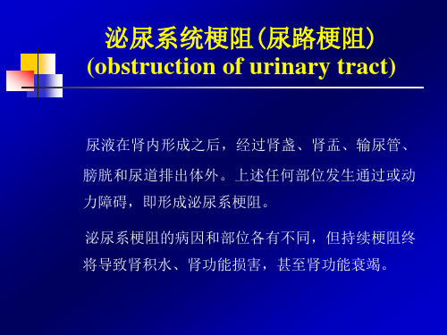 泌尿系梗阻-第八版