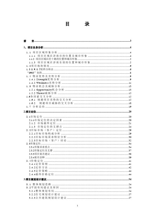 济南南丰某房地产项目定位报告终稿