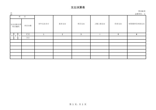 2019决算表