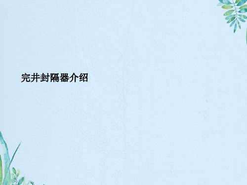 完井封隔器介绍