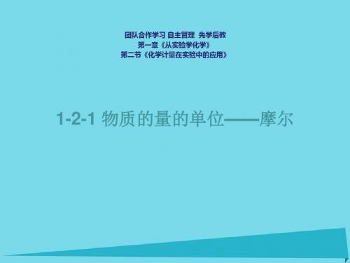 海南省国兴中学高中化学 1.2.1.1 物质的量的单位-摩尔.