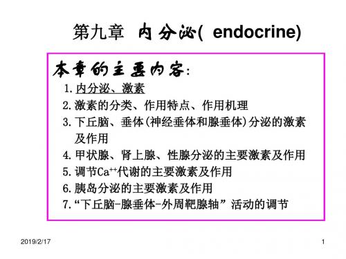 第九章内分泌(endocrine)讲课用