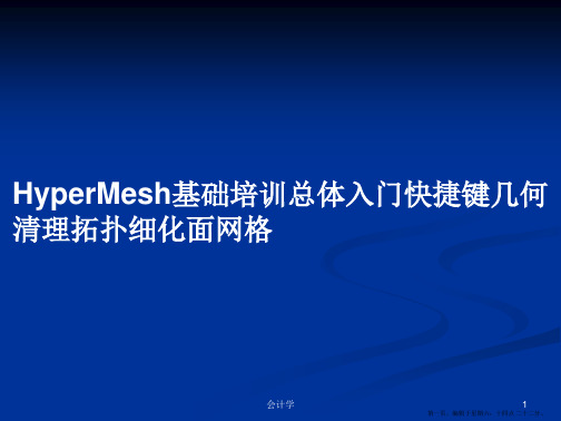 HyperMesh基础培训总体入门快捷键几何清理拓扑细化面网格学习教案可编辑全文