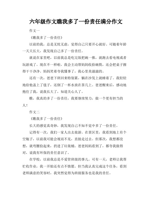 六年级作文瞧我多了一份责任满分作文