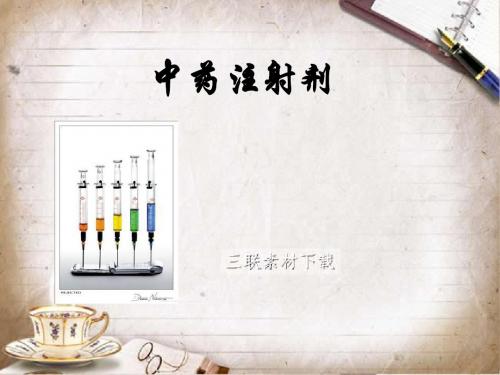 中药注射剂y-PPT课件