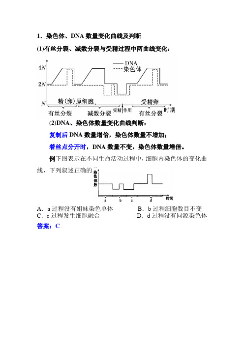 高二细胞分裂图像 复习