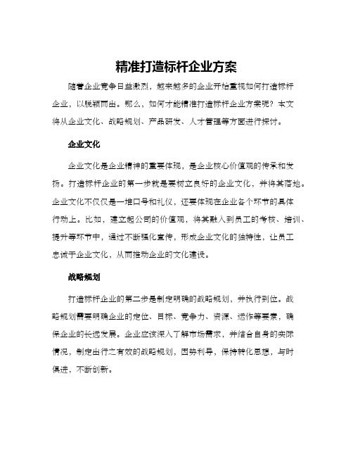 精准打造标杆企业方案