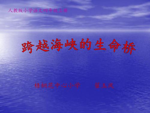 跨越海峡的生命桥(完美版).ppt