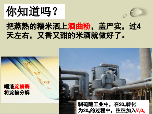 催化剂对过氧化氢分解反应速率PPT下载1(2份)