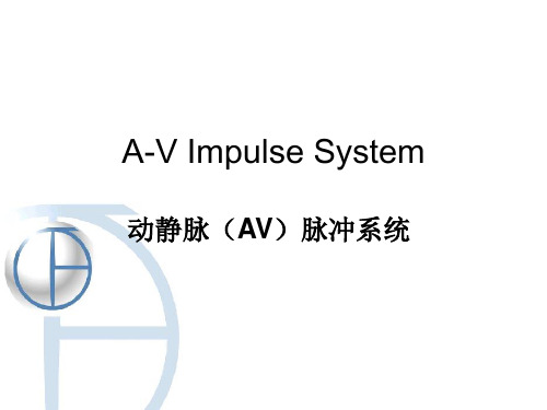动静脉(AV)脉冲系统课件