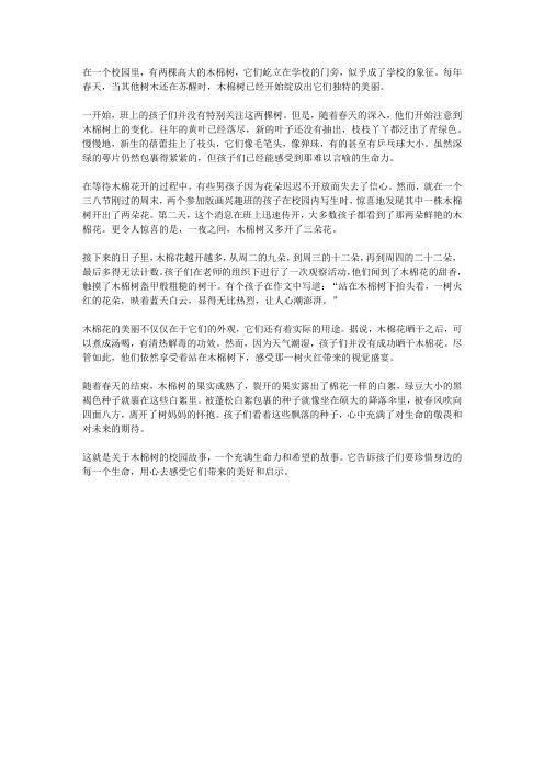 关于木棉树的校园故事