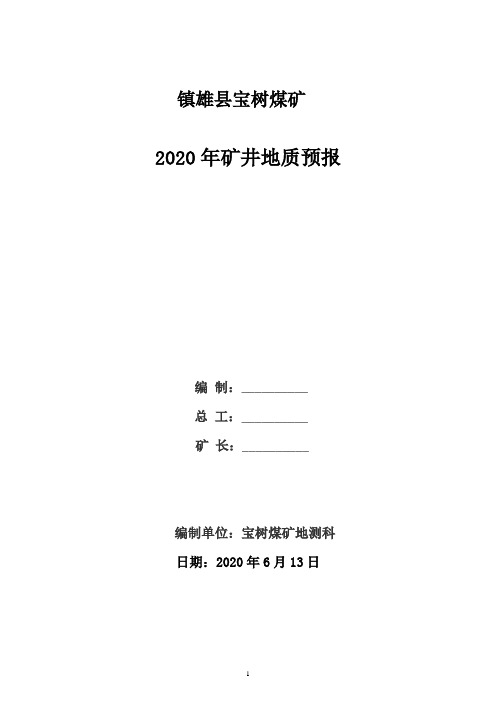 2020地质预报年报