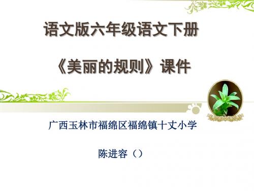 六年级下册语文课件课文9《美丽的规则》语文s版(共19张ppt)