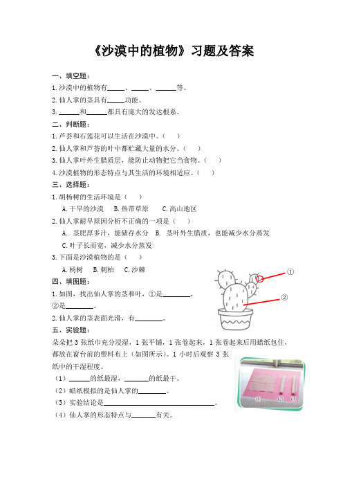 苏教版三年级下册科学第二单元《沙漠中的植物》同步练习含答案