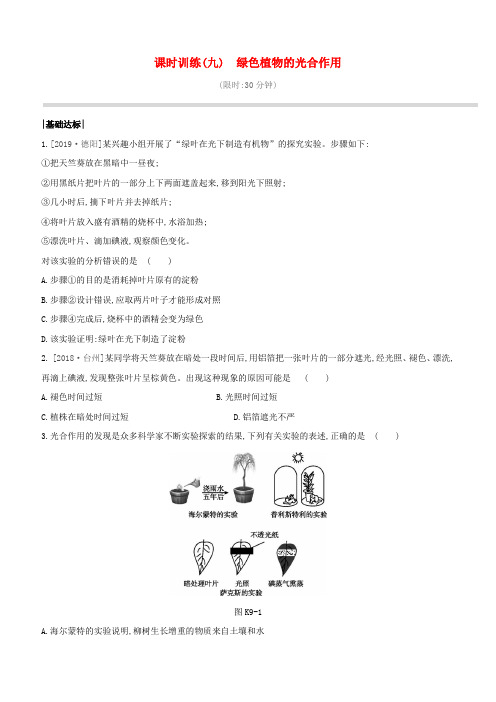 (新课标)中考生物复习第三单元生物圈中的绿色植物课时训练09绿色植物的光合作用