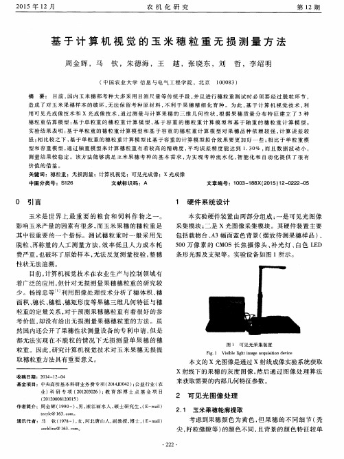 基于计算机视觉的玉米穗粒重无损测量方法