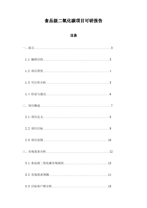 食品级二氧化碳项目可研报告