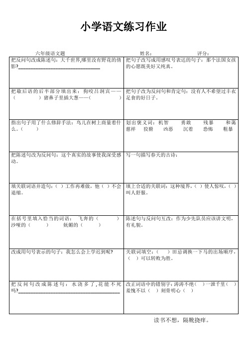 小学语文精作细练习题I (85)