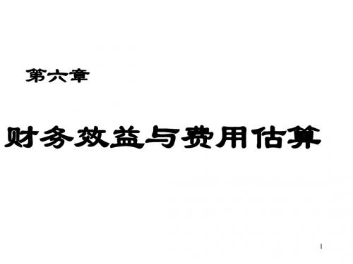 6六章财务效益与费用估算