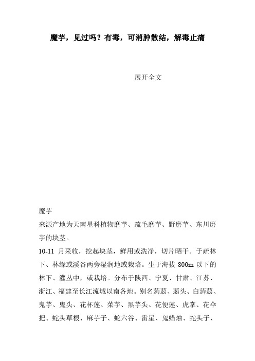 魔芋,见过吗?有毒,可消肿散结,解毒止痛