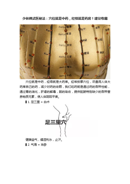 少林禅武医秘法：穴位就是中药，经络就是药房！建议收藏