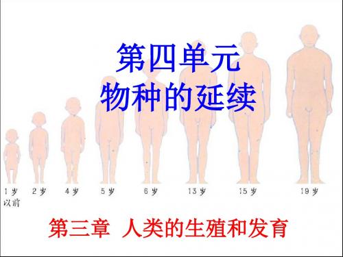 八年级生物上册第四单元第三章第一节婴儿的诞生课件(新版)济南版 (1)