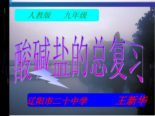 附录Ⅰ 部分酸、碱和盐的溶解性表(室温)