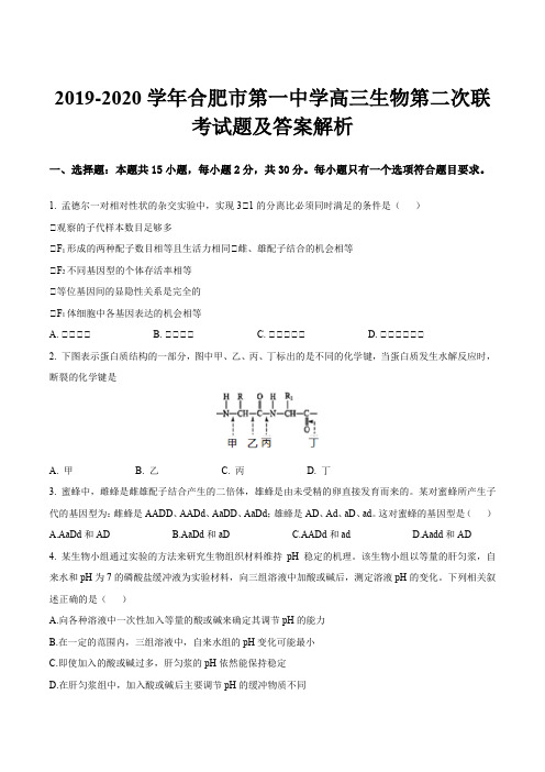 2019-2020学年合肥市第一中学高三生物第二次联考试题及答案解析