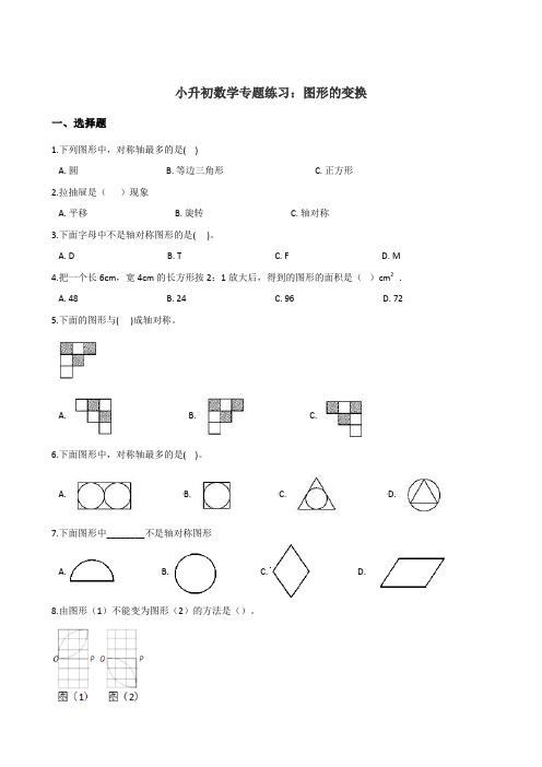 六年级下册数学试题-小升初数学专题练习：图形的变换  人教课标版(含答案)