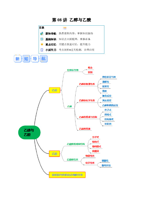 第08讲 乙醇与乙酸(解析版)-2024年高一化学寒假提升学与练(人教版)