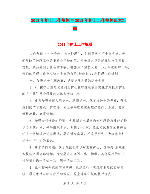 2018年护士工作规划与2018年护士工作规划范本汇编.doc