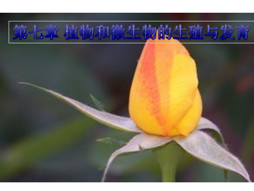 春华师大版科学七下《绿色开花植物的有性生殖与发育》PPT课件