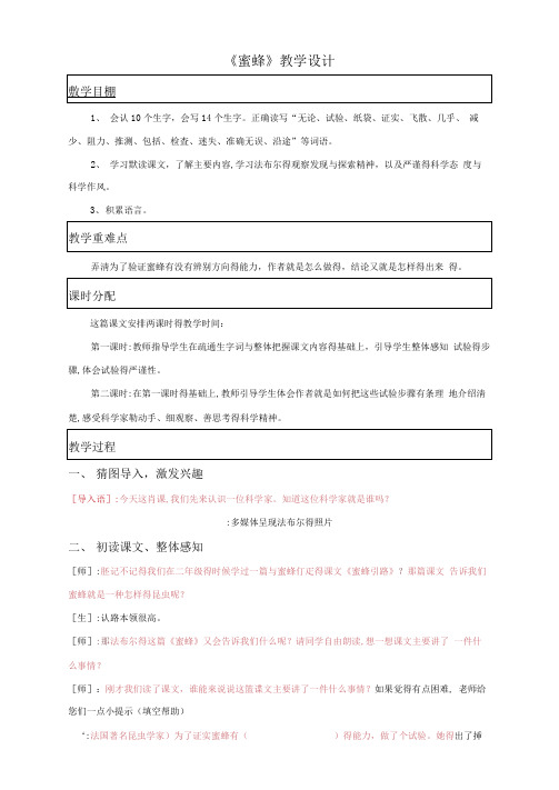 《蜜蜂》教学设计