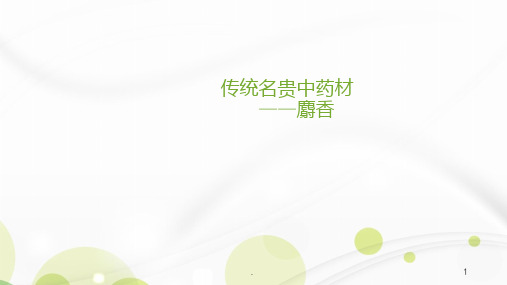 中药材动物药 麝香PPT课件