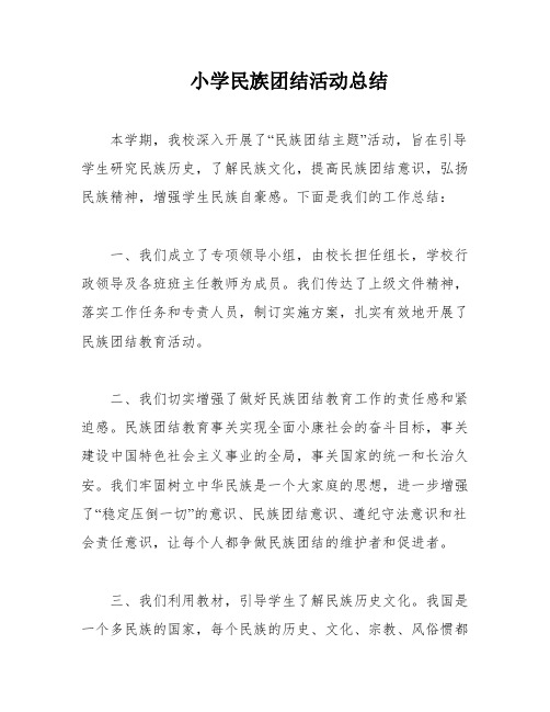 小学民族团结活动总结