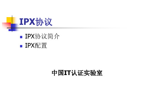 IPX协议